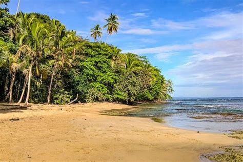 playa chiquita|Playa CHIQUITA: snorkeling & NATURAL。